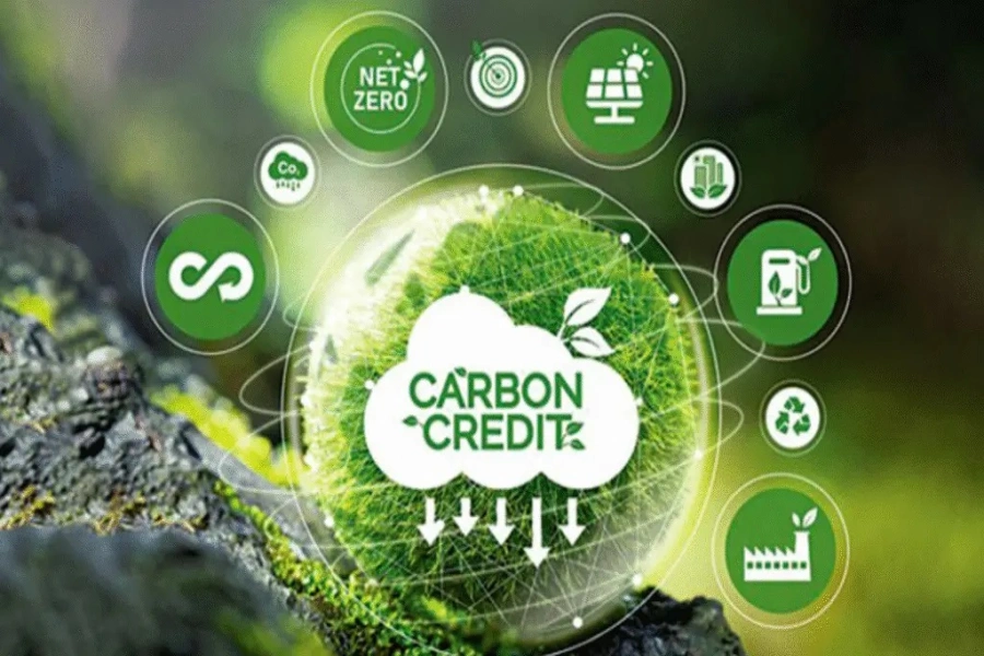 Carbon credit environmental sustainability