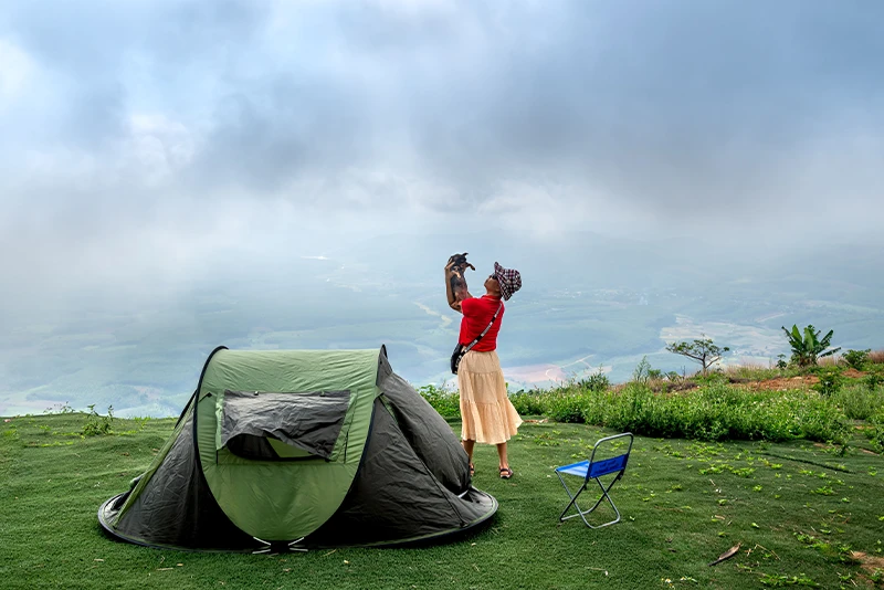 A camper with a dog on a foggy hilltop at dawn