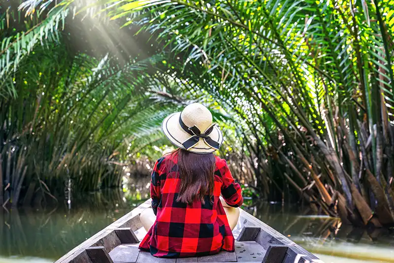 A traveller in a rowing boat on a palm-canopied waterway